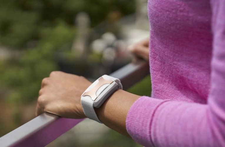 Apopka: Can a Wearable Device Reduce Stress?